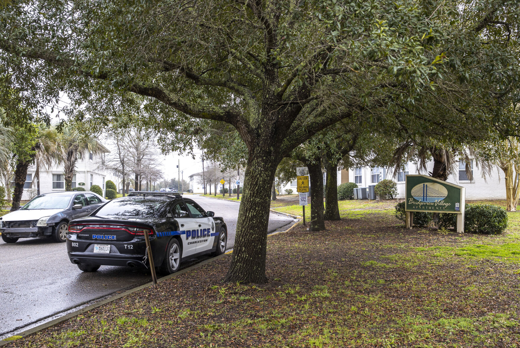 bridgeview police car.jpg